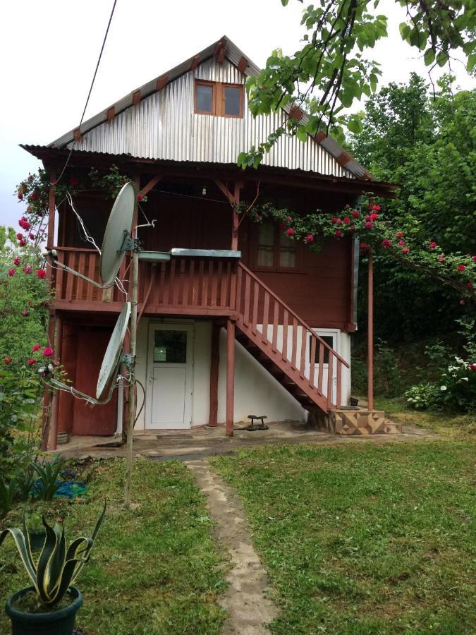 Villa Tengiz Chakvistavi Exterior foto